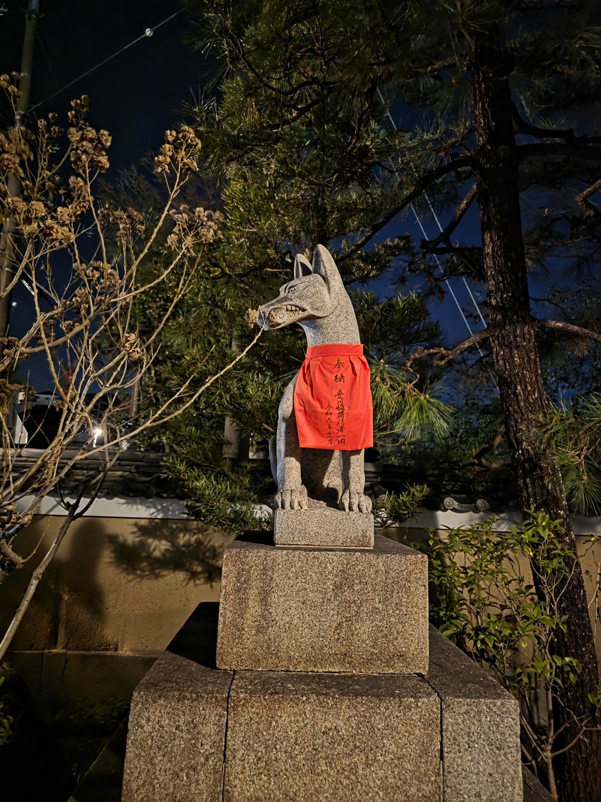 Madeleine in Japan: Handytest Samsung Galaxy s25 Pro