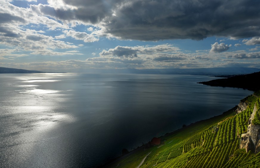 Symbolbild Romandie Lac Léman Genfersee Lavaux