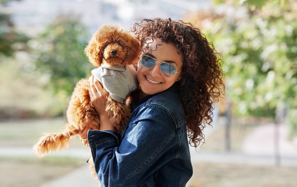 Portrait von rotem Hair kleinen Hund, Mini-Poodle mit geschmeidigen Frauen sehen Kamera und Lächeln in Park. Haustier sieht wie Besitzer aus.