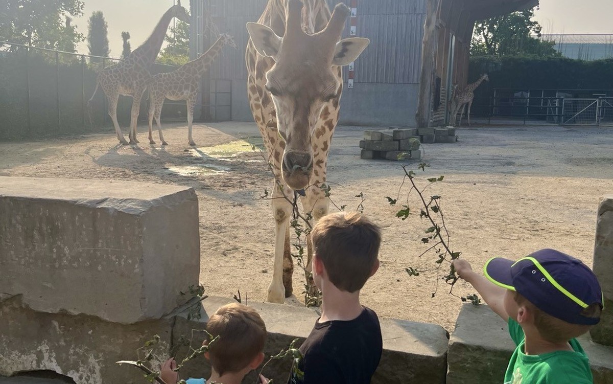 Giraffenlodge Kinderzoo Rapperswil Schlafen mit Tieren Rauszeit