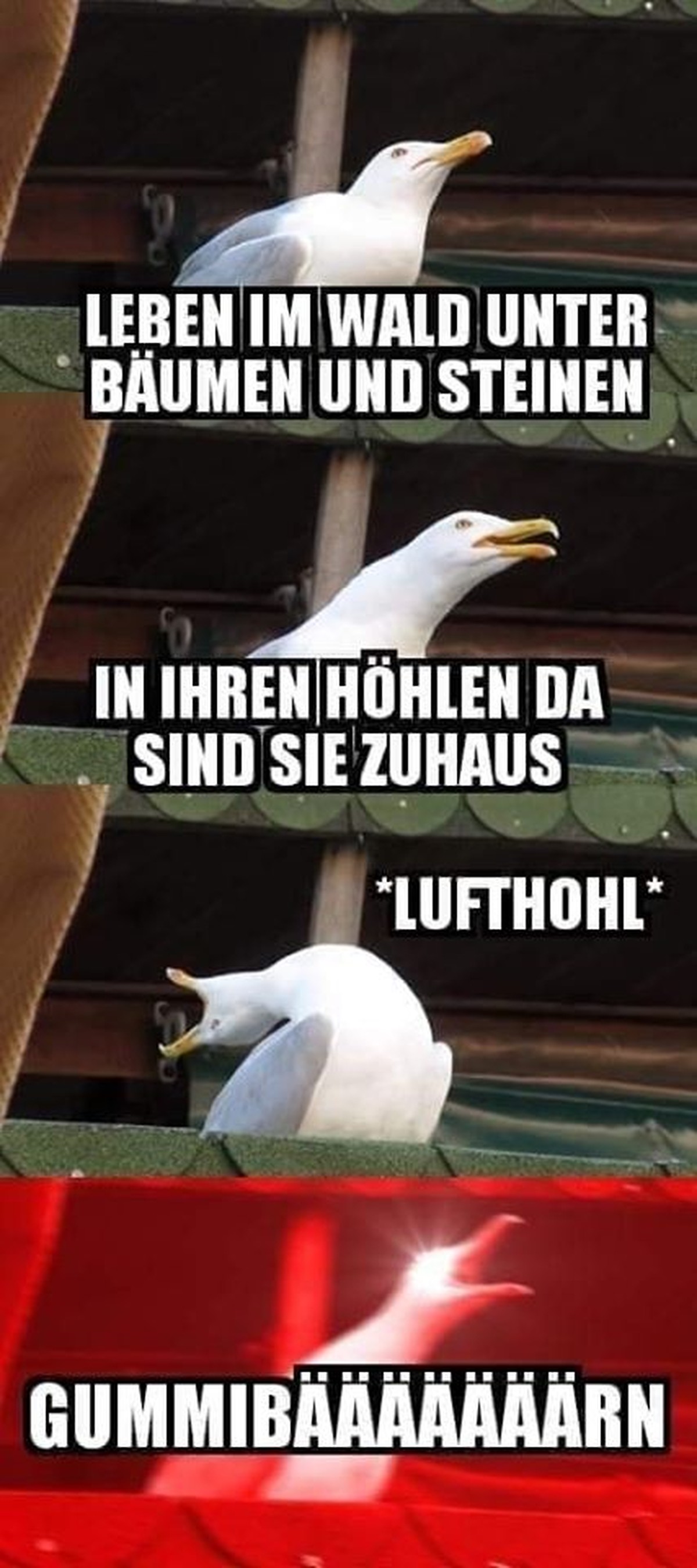 PICDUMP 1 VOR 300! 亞
:)