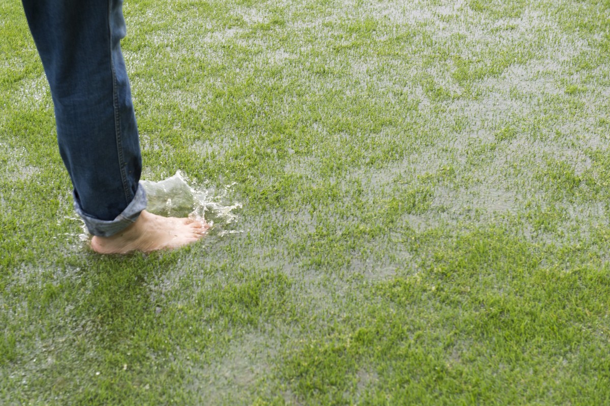 Wegen unbespielbarem Terrain ist das Fussball Meisterschaftsspiel der Super League zwischen dem FC Aarau und dem FC Vaduz am Sonntag, 3. August 2014, auf dem Bruegglifeld in Aarau abgebrochen worden.  ...