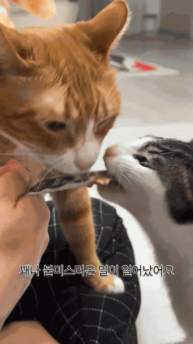 Animiertes GIF