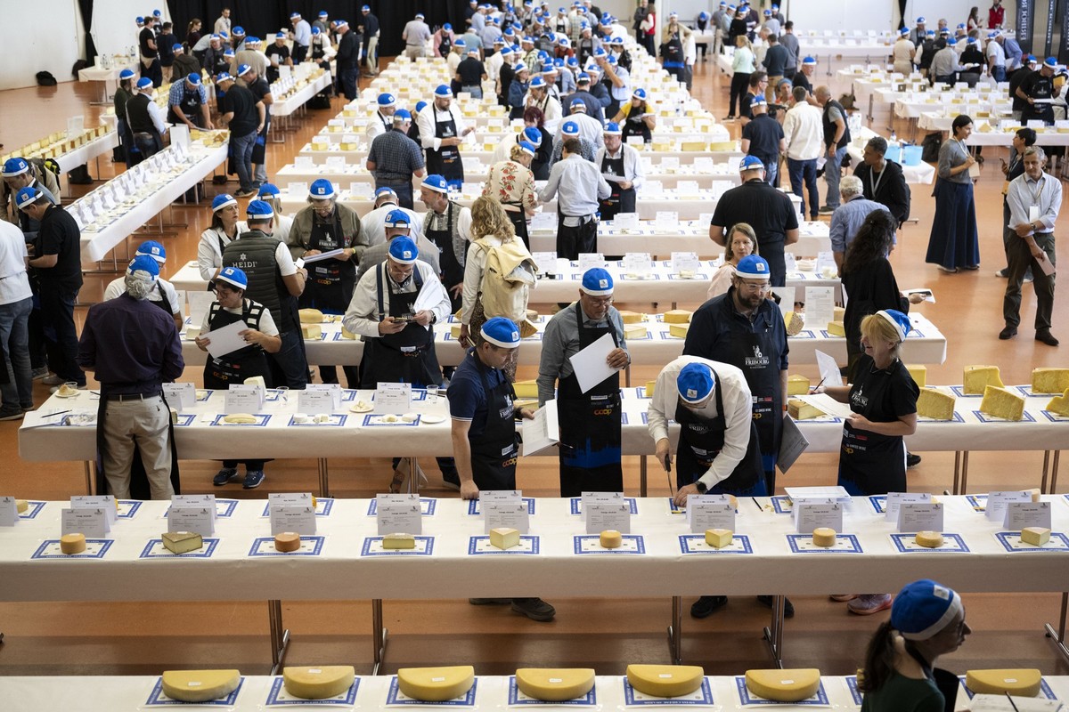 Members of the jury analyze and taste cheeses from different parts of Switzerland during the 14th Swiss Cheese Awards, at the St. Leonard community hall, in Fribourg, Switzerland, Tuesday, October 6,  ...