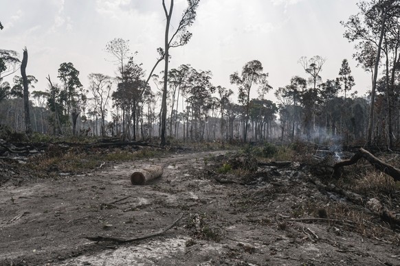 In this image provided by Victor Ostetti, smoke rises from a forest fire in Cristalino II State Park, Mato Grosso State, Brazilian Amazon on Aug. 27, 2022. More fires burned in the Brazilian Amazon ra ...