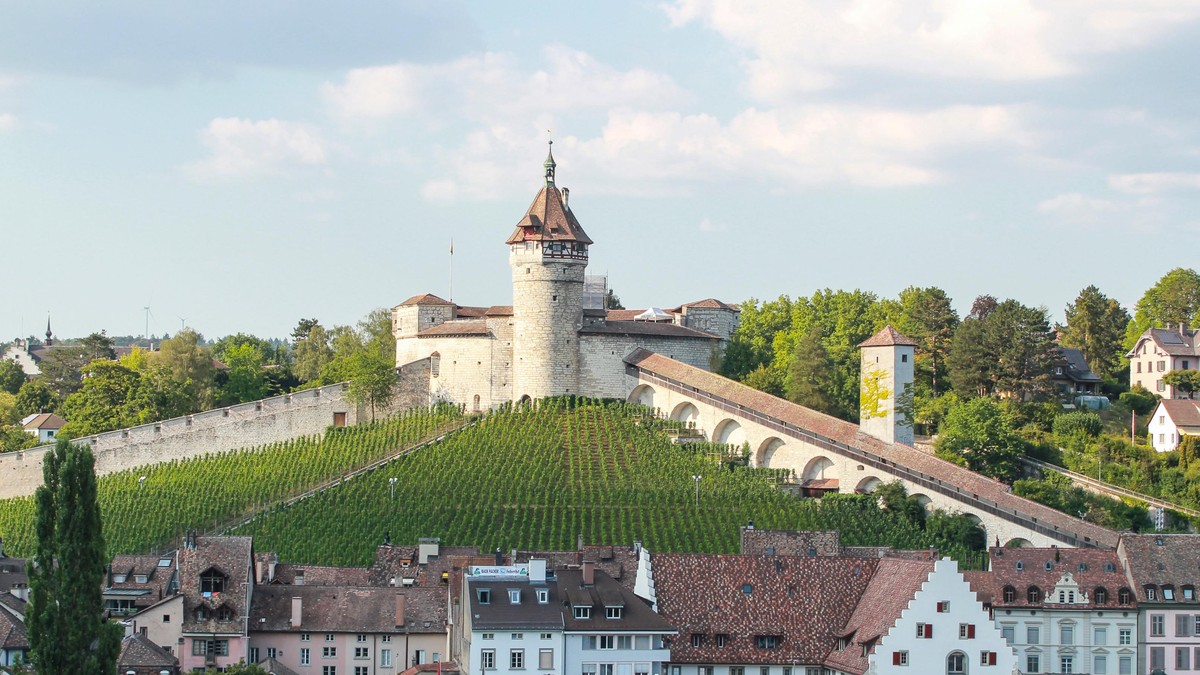 Blick auf den Munot.