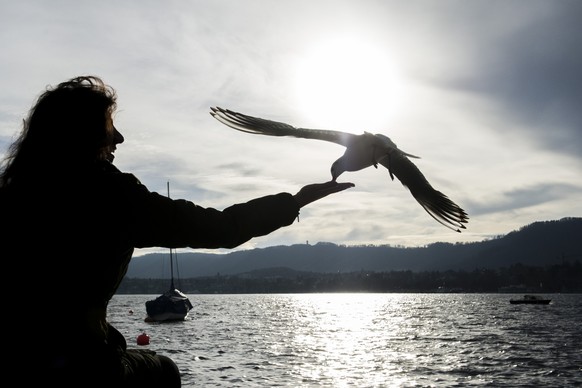 Zürich: 09.01.2014, frühlingshafte Temperaturen