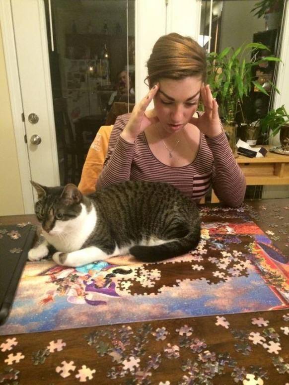 http://i.imgur.com/nqy4WgJ.jpg katze liegt auf puzzle