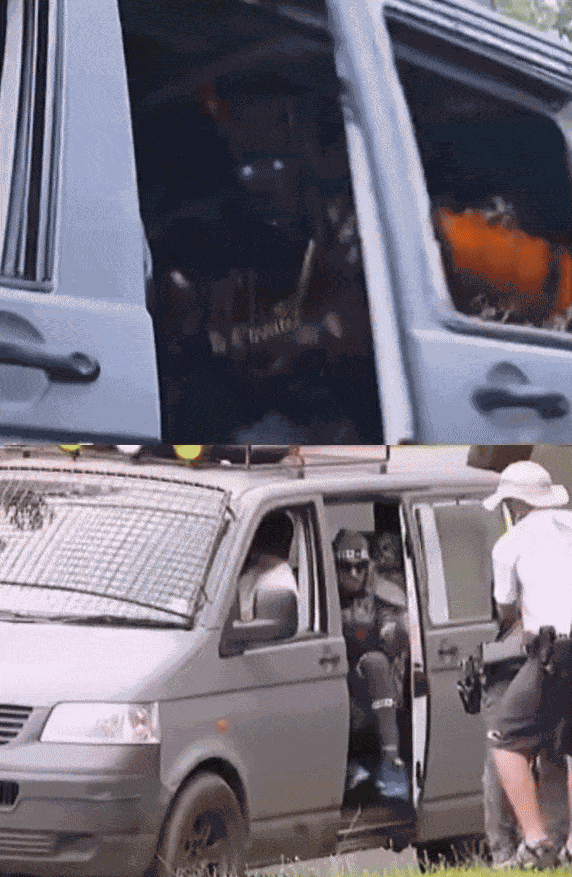 Animiertes GIF