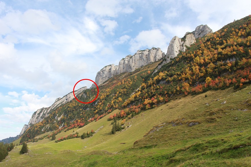 Im sehr steilen Gelände rutschte der 25-jährige Mann aus und stürzte eine rund 50 Meter hohe Felswand hinunter.