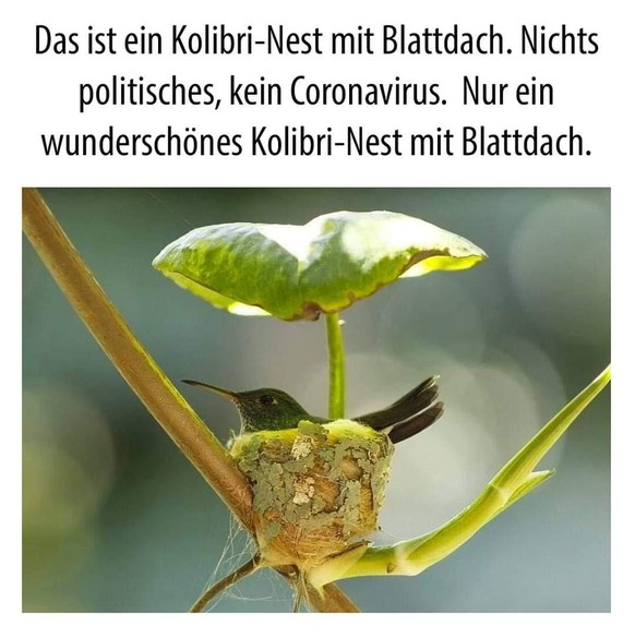 PICDUMP 425 тАУ Sommer, Sonne, Spassigkeit! ЁЯШО\nЁЯТЪ