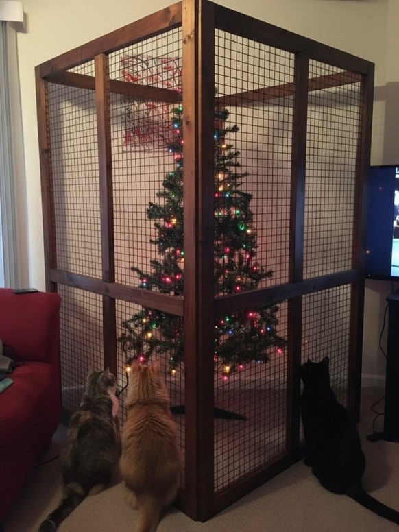 cute news tier katze

https://www.instagram.com/p/DRurLSPj_4l/?img_index=1