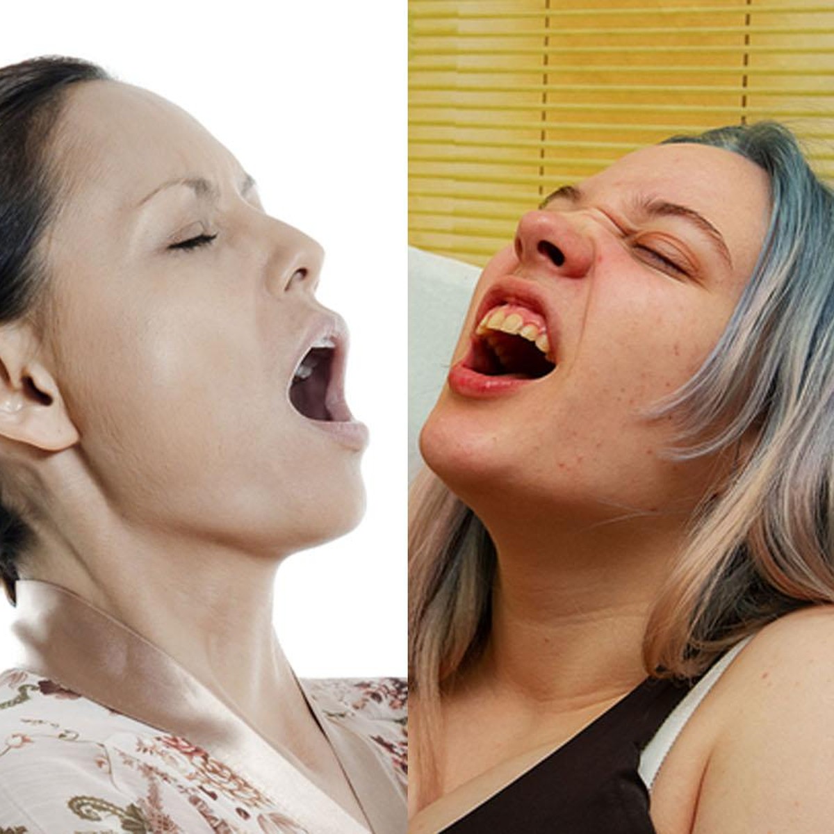 Das einzig wahre Quiz zur Pollensaison Sex oder Heuschnupfen? Gattin 1200x1200 Foto Das einzig wahre Quiz zur Pollensaison Sex oder Heuschnupfen?