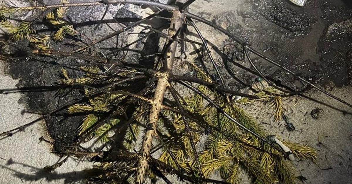 weihnachtsbaum-ger-t-in-brand-mehrfamilienhaus-in-niederlenz-ag-evakuiert