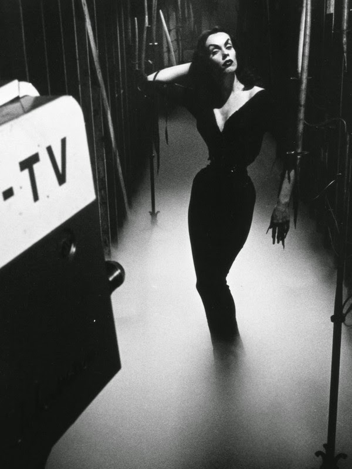 maila nurmi vampira tv horror bela lugosi hollywood 1950er fünfzigerjahre http://www.afsviewfinders.com/2015/02/the-incredible-but-true-story-of-maila.html