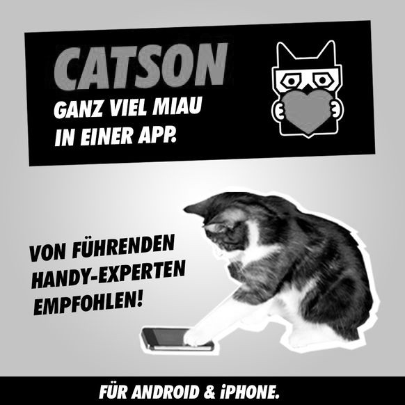 catson schwarz-weiss