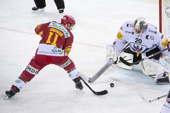 Tigers, Aaron Gagnon, links, verpasst, gegen Fribourgs Goalie, Reto Berra, rechts, waehrend dem Meisterschaftsspiel der National League, zwischen den SCL Tigers und dem HC Fribourg Gotteron, am Samsta ...