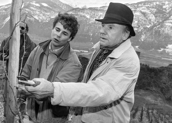Der Schauspieler und Regisseur Jean-Louis Trintignant im Wallis, 1995, am Weinreben schneiden.