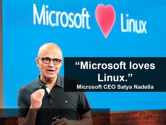 Microsoft-Chef Satya Nadella umgarnt die Entwickler-Community.