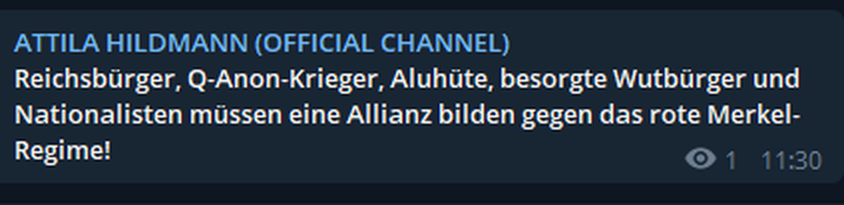Solche Postings veröffentlicht Attila Hildmann in den sozialen Medien.