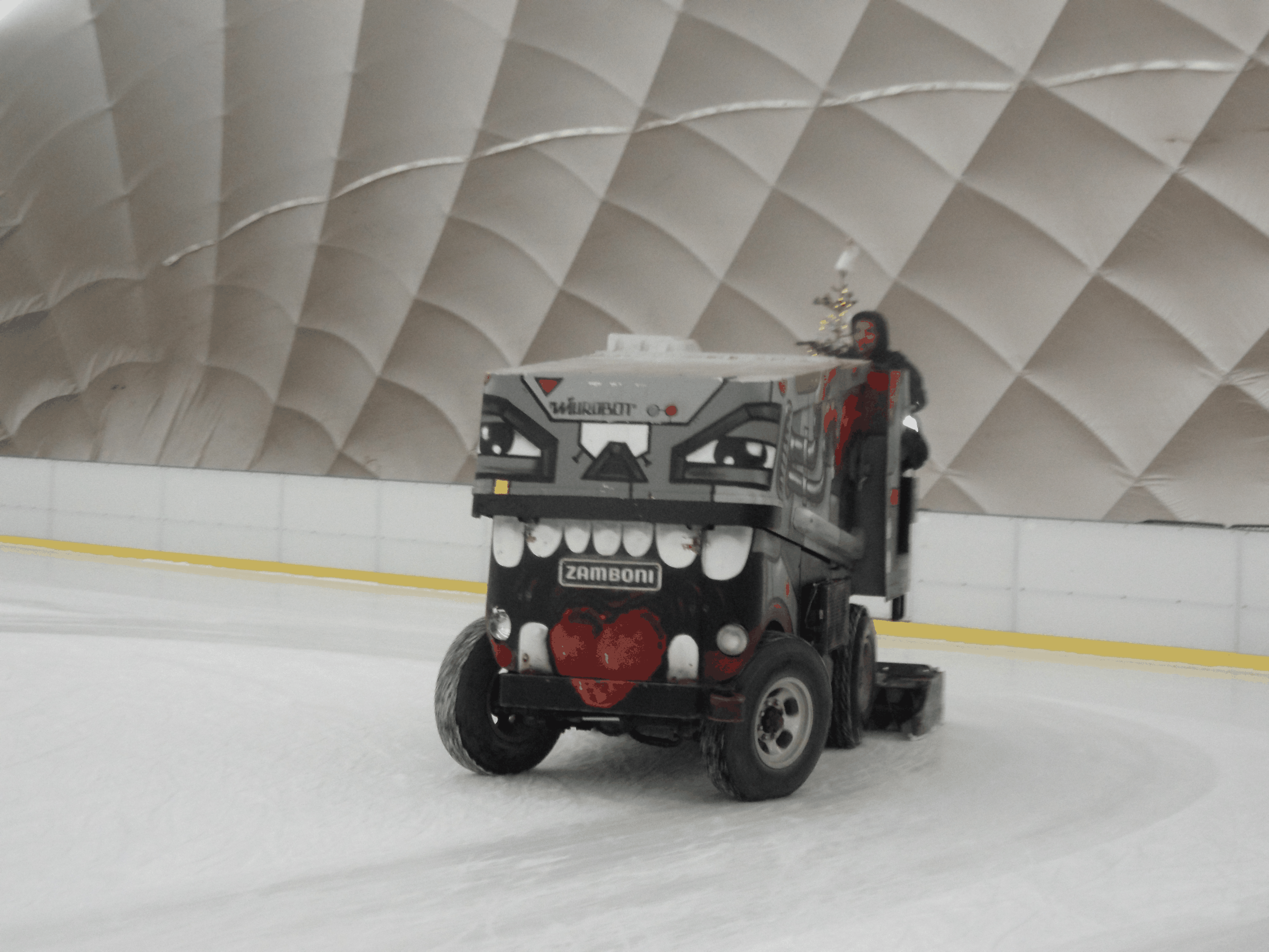 bild: zamboni