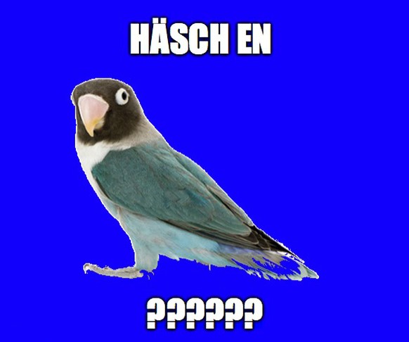 Lustig, doofe Schweizerdeutsche Sprüche