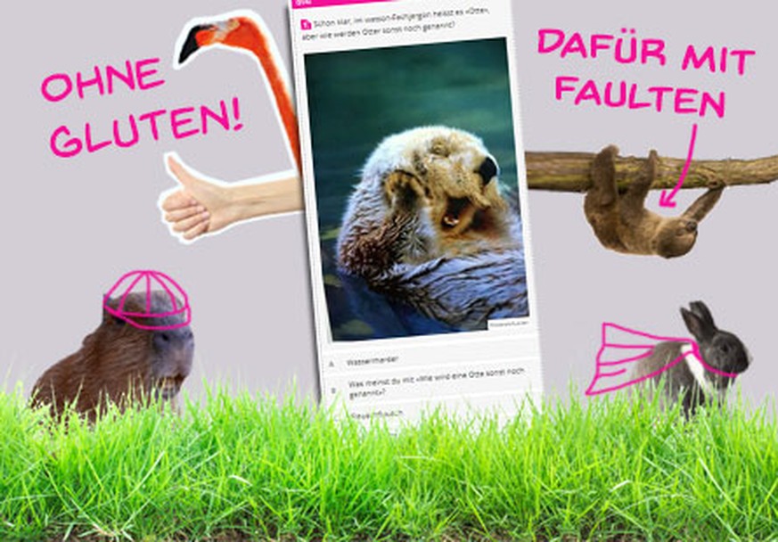 Lustige Tiere und ein knallhartes Otten-Quiz (Huber hatte 9 Punkte)