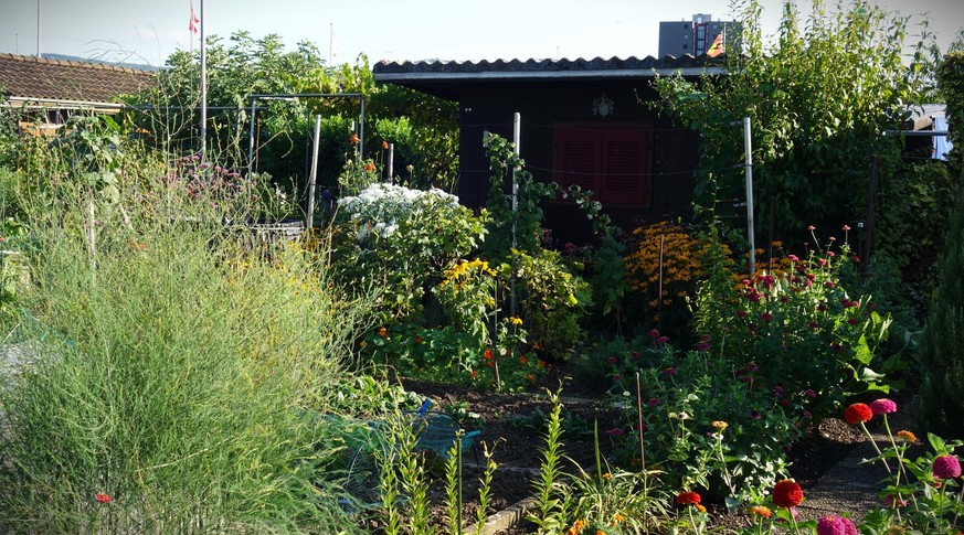 Reportage aus dem Familiengarten Scheuerrain in Muttenz, der wegen des geplanten Rheintunnels mit dem nationalen Autobahnausbau platt gemacht werden soll.