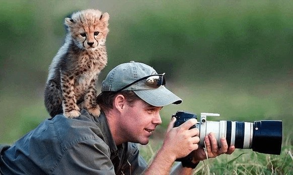 cute news tier fotograf

https://www.reddit.com/r/FunnyAnimals/comments/1h5sw40/animals_disturbing_photographers/