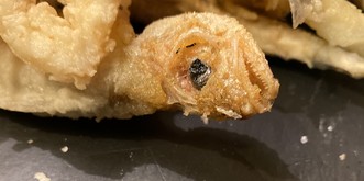 Ich war mit dem neuen iPhone auf Elba und ging durch die «Food Porn»-Hölle