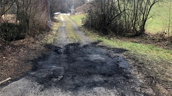 Bei der Einfahrt zum Scheibenstand der Schiessanlage Grütmatt in Brittnau fand ein Passant das ausgebrannte Auto.