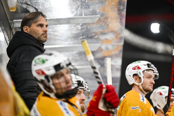 Langnaus Cheftrainer Thierry Paterlini im Eishockeyspiel der National League zwischen den Rapperswil-Jona Lakers und den SCL Tigers, am Samstag, 24. September 2022, in der St. Galler Kantonalbank Aren ...