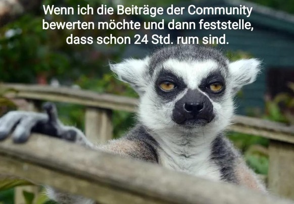 Hallo! Hier ist noch ein Feuerwerk! Aus ... Memes. Ha ha. LG, Picdump\nIch, heute Morgen, als ich die noch spät geposteten und noch später aufgeschalteten FailDi-Userbeiträge herzen wollte...