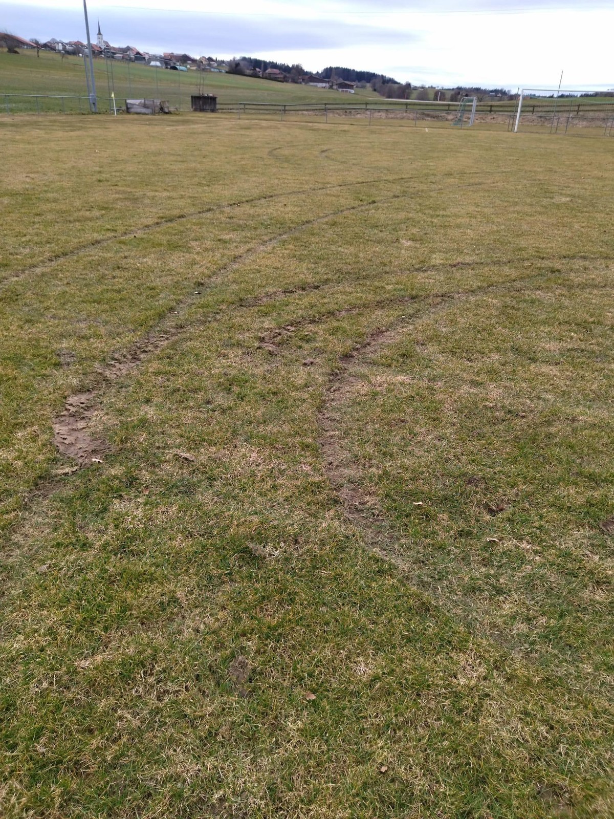 Les dommages ont été causés sur une grande zone au milieu de la pelouse.