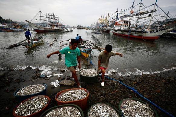 epa11501349 Fishermen unload catched fish from a wooden boat at a fishing village in Mariveles, Bataan province, Philippines, 28 July 2024. Philippines raced to prevent an environmental catastrophe in ...