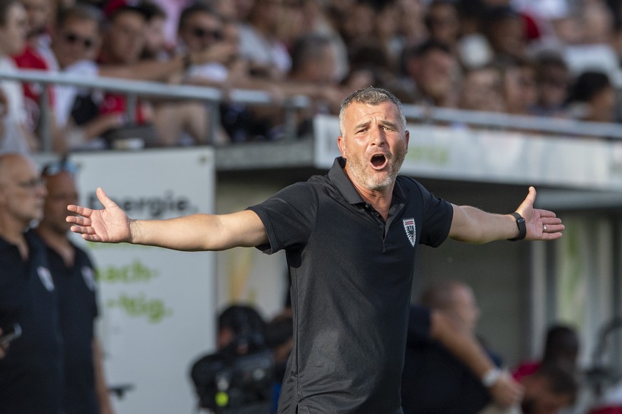 Der Trainer von Aarau, Alex Frei, mitte, beim Schweizer Fussball Cup 1/16 Final zwischen dem FC Aarau und dem FC Winterthur vom Sonntag, 17. September 2023 in Aarau. (KEYSTONE/Urs Flueeler)