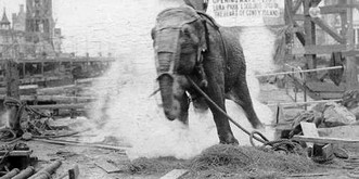 Als Thomas Edison einen Elefanten mit Wechselstrom hinrichten liess