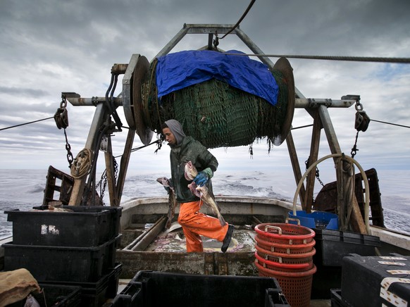 FILE - In this April 23, 2016 file photo, Elijah Voge-Meyers carries cod caught in the nets of a trawler off the coast of New Hampshire. The United States and Canada have brokered a deal to share what ...