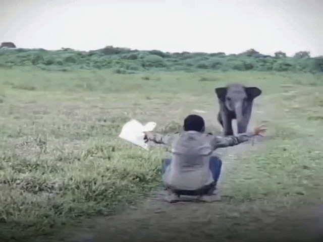 GIF animé