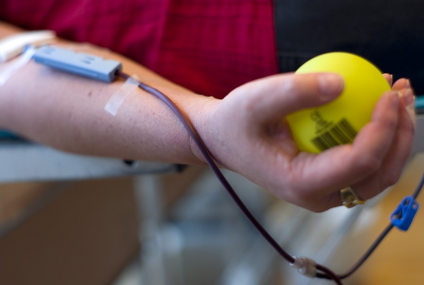 ARCHIVBILD ZUR MELDUNG UEBER DEN RUECKGANG DES BLUTVERBRAUCHS UND DER SPENDEMOEGLICHKEIT FUER HOMOSEXUELLE. -- A male voluntary blood donator kneads a plastic ball to stimulate the blood flow in the b ...