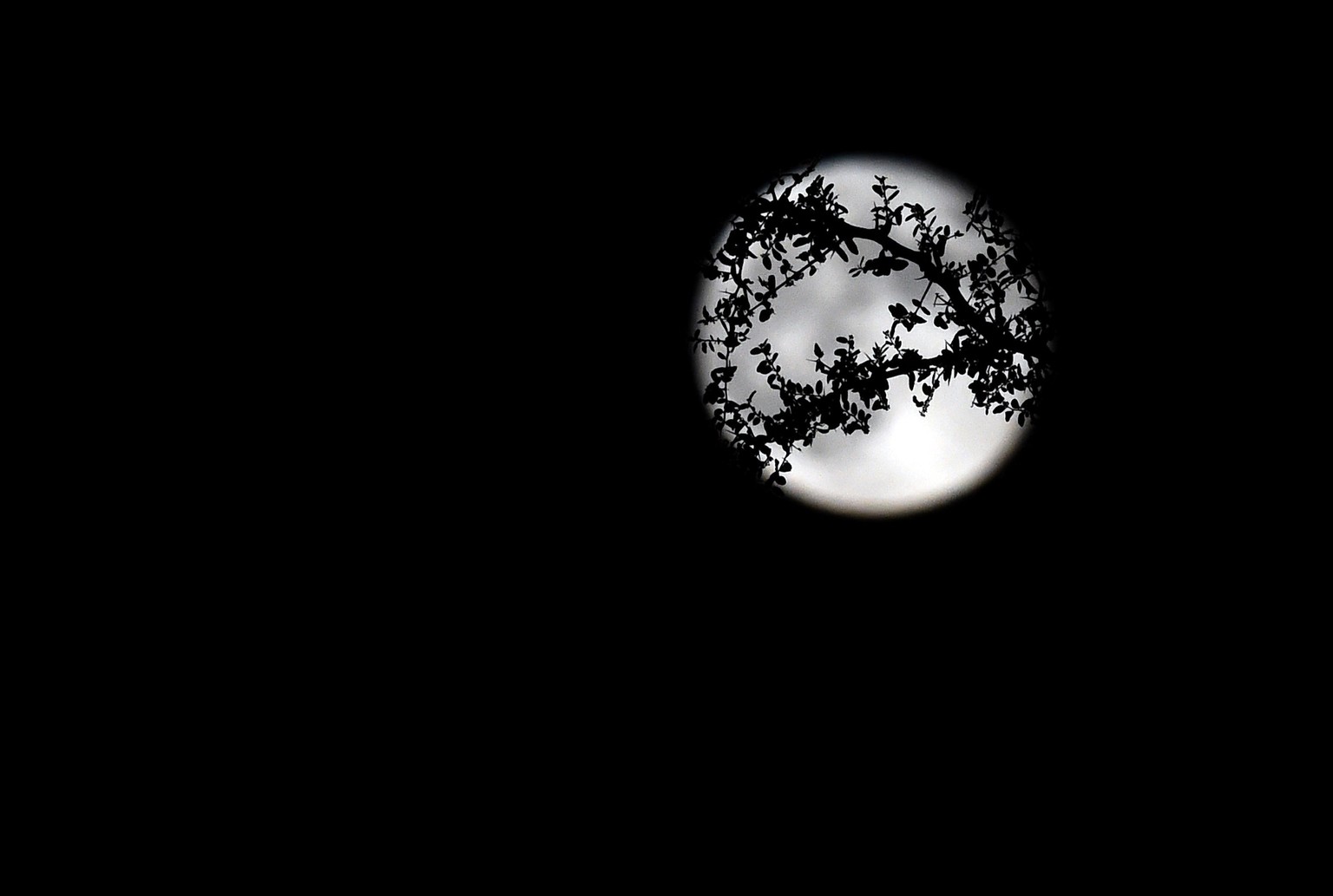 Der Supermond am 9. September 2014 in Las Vegas, Nevada.