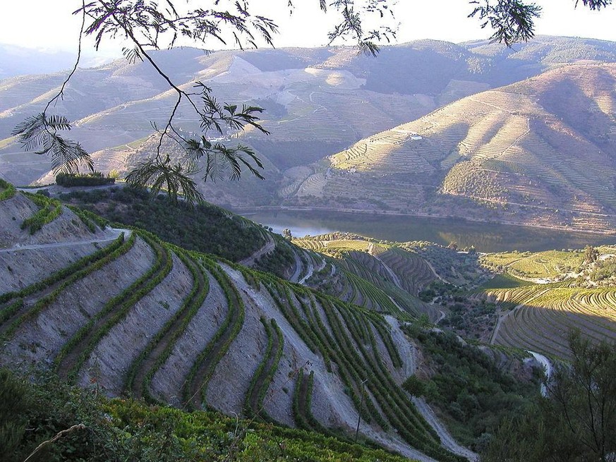<sup>Das Tal des Douro, mit Weinbergen im Terrassenanbau.</sup>