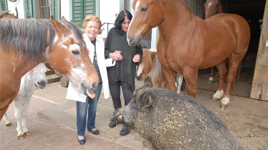 Der Tierlignadenhof wird viel besucht. So kam im April 2014 auch Lys Assia zu Monika Spoerlé auf den Kaister Hof.