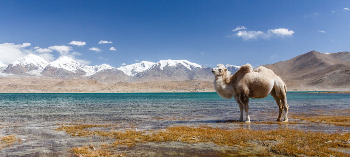 Der Karakul-See auf 3600 Metern über Meer ist beliebtes Ziel für Abenteuerreisende.