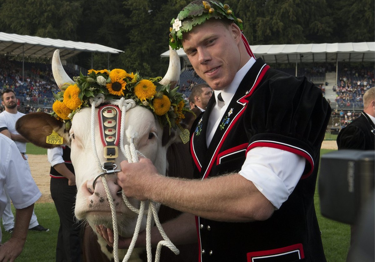 Matthias Sempach (BKSV) freut sich mit Siegermuni "Fors" ueber den Koenigstitel am Schwing und Aelplerfest, am Sonntag 1. September 2013, in Burgdorf. (KEYSTONE/Urs Flueeler)
