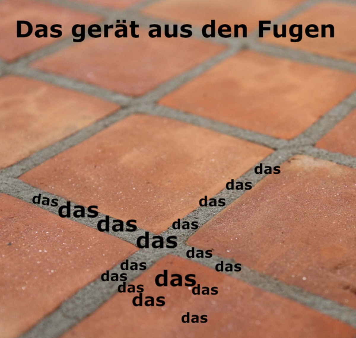 Bild