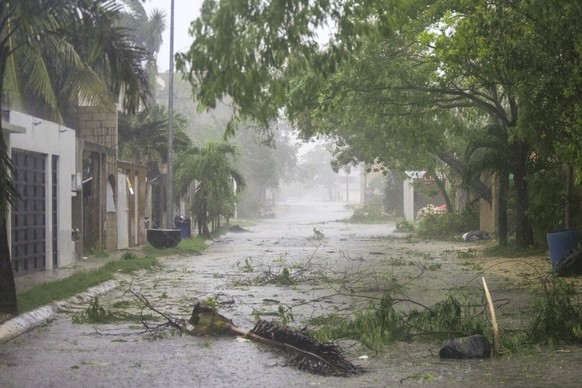 Vegetation covers a street during the pass of Hurricane Beryl in Tulum, Mexico, Friday, July 5, 2024. (AP Photo/Fernando Llano)