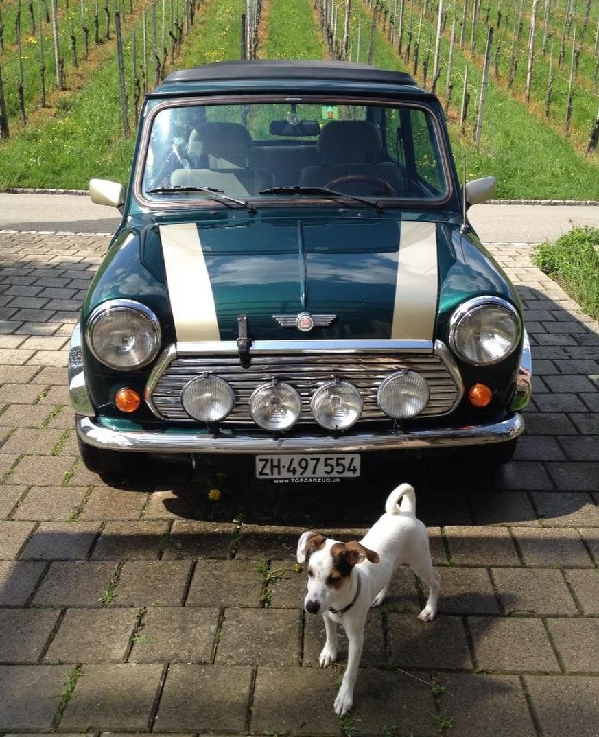 Und NUN: Nostalgie! Welches Auto aus eurer Vergangenheit vermisst ihr?