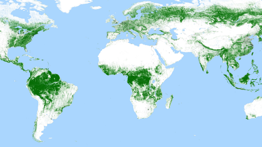 Diese Karte Zeigt Genau Wie Wenig Wald Es Auf Der Erde Noch Gibt Watson