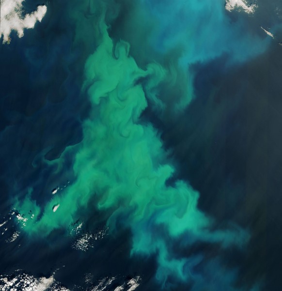 June 13, 2025 - Scotland - A burst of color swirled in the North Sea as phytoplankton amassed in the waters near Scotland s Shetland Islands. Despite their microscopic size, the plant-like organisms c ...